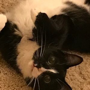 Meet your Posher, Caityn